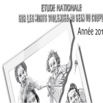 etude sur les morts violentes au sein du couple 2013