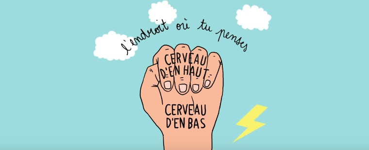 le modèle du cerveau dans la main de Dan Spiegel