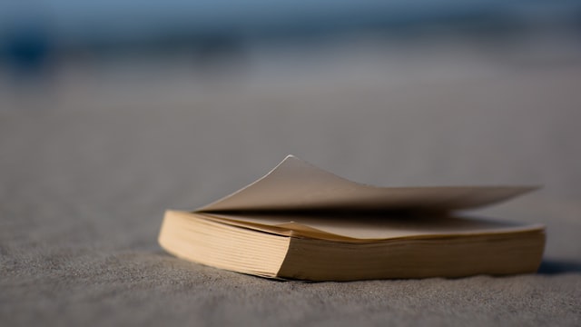 Bibliographie EMDR et Thérapie Sandtray (bac à sable)