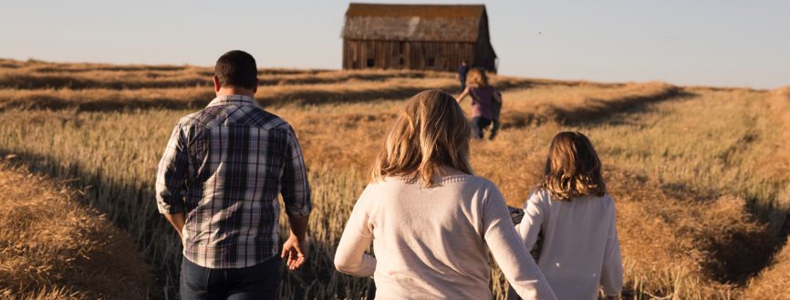 Traitement intégratif en équipe des traumatismes d'attachement chez l'enfant : Thérapie familiale et EMDR