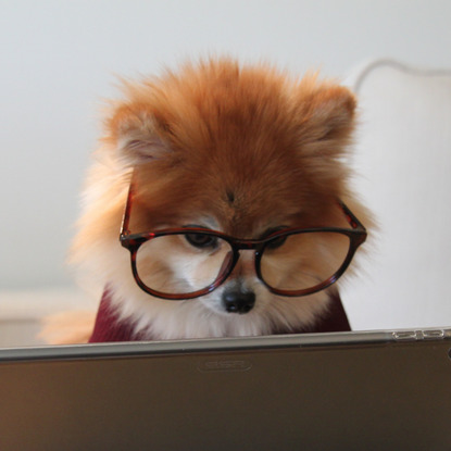 Protocole d'épisode traumatique récent EMDR appliqué en ligne pour les symptômes liés à un TSPT lié au covid-19