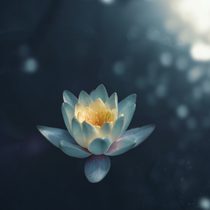 Le biofeedback respiratoire comme adjuvant à l'exposition dans la thérapie cognitivo-comportementale accélère la réduction des symptômes du TSPT