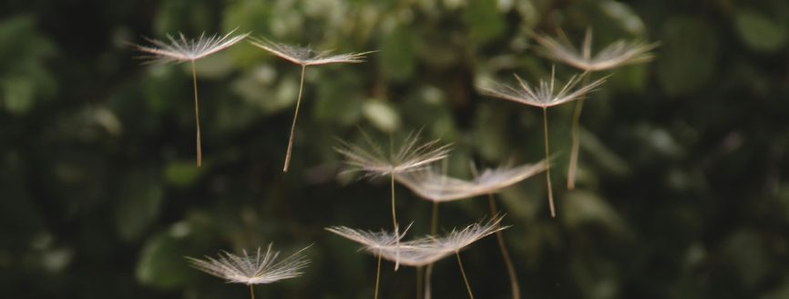 Dix choses à aimer dans l'EMDR (en tant que thérapeute nouvellement formé)