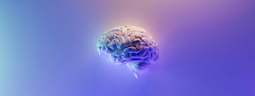 Effets de la psychothérapie sur l'activation cérébrale pendant le traitement des émotions négatives chez les patients souffrant d'un TSPT 