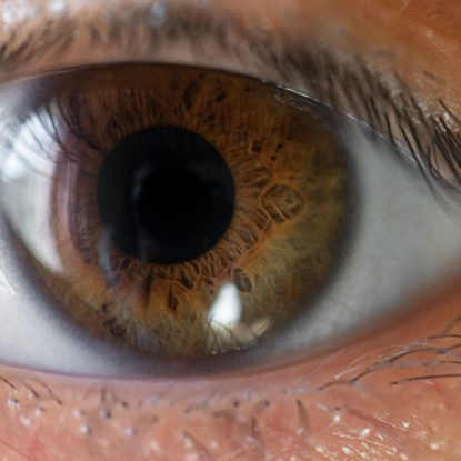 Comment les personnes présentant des TSPT interprètent et réagissent aux noms de traitement du TSPT ?