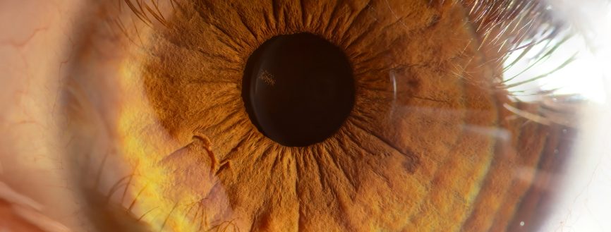 1,8 Hz, 70 pixels, 38,1 cm : la recette de l'efficacité EMDR à 98,7%