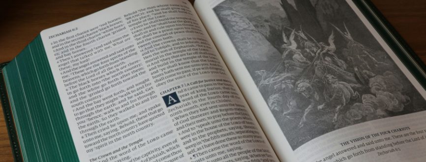LIVRE Pratique de l'EMDR avec les enfants, les adolescents et leur famille