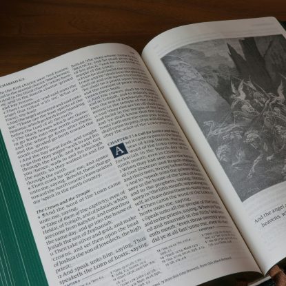 LIVRE Pratique de l'EMDR avec les enfants, les adolescents et leur famille