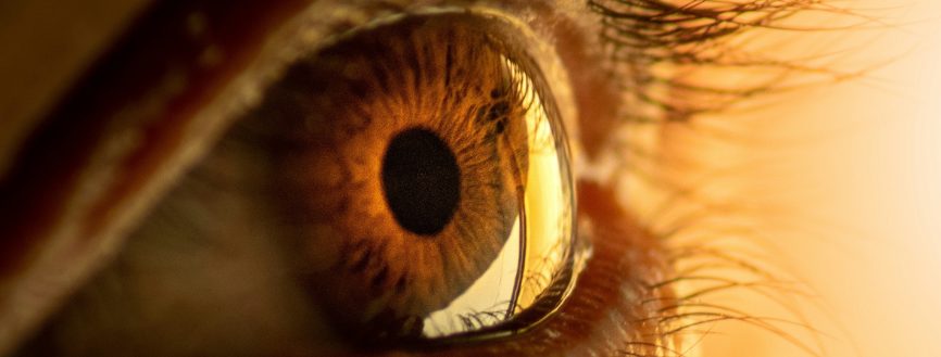 Une métaphore réaliste du rôle du thérapeute dans l'EMDR