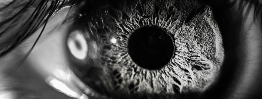 L'intersection de l'expérience et de l'intuition dans l'EMDR