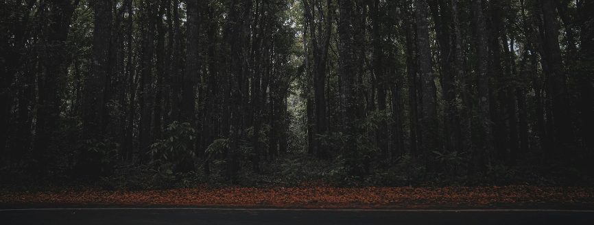 Écouter l’Éco-Anxiété ou comment accompagner l’incertitude en thérapie