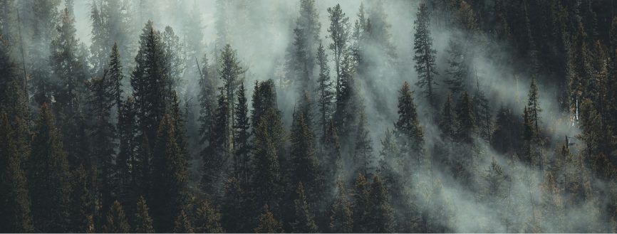 Éco-anxiété : état des lieux d’un mal-être grandissant