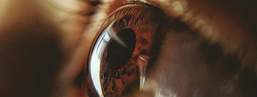 Devenir thérapeute EMDR : surmonter ses peurs pour accompagner la guérison