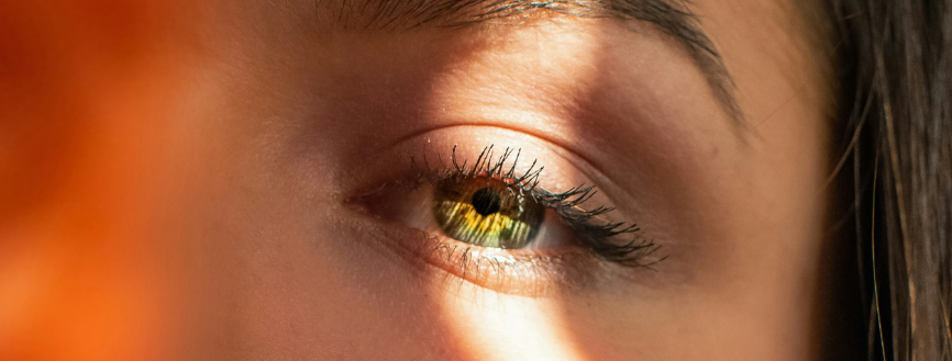 La conceptualisation de cas en EMDR